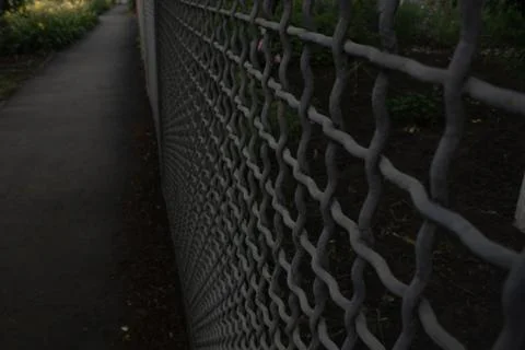 Paved gray path after fresh rain with a gray net fence and bright colors in t Stock Photos