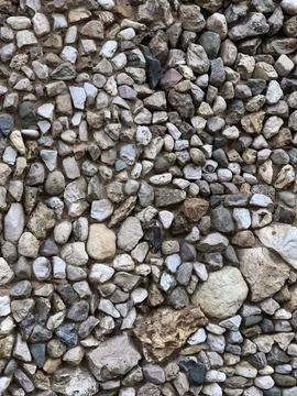 Paved with gray sea pebbles path in the park, abstract textured background Foto stock
