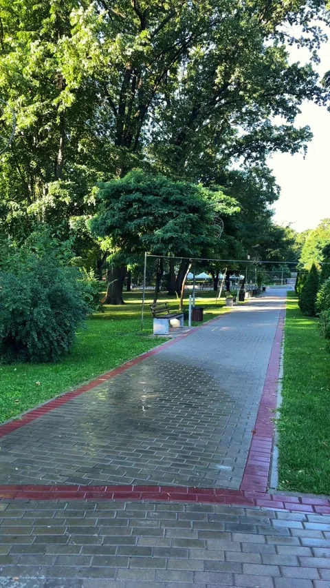 Paved park pathway lined with trees and greenery, outdoor recreation. Stock Footage 342986611