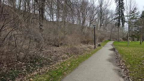Paved Park Pathway Passing Bare Winter Trees Stock Photos