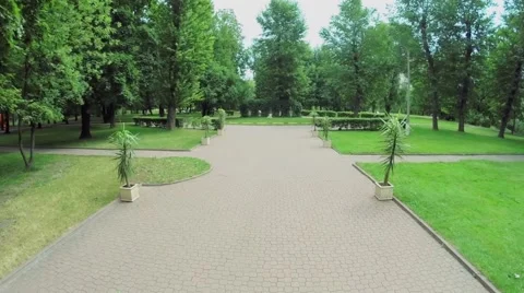 Paved path among plants in park at summer day. Aerial view Stock Footage 46294508