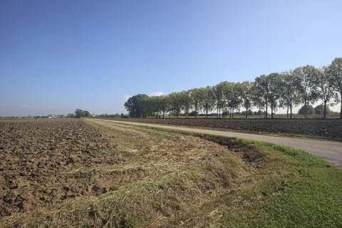 Paved path between fields Stock Photos