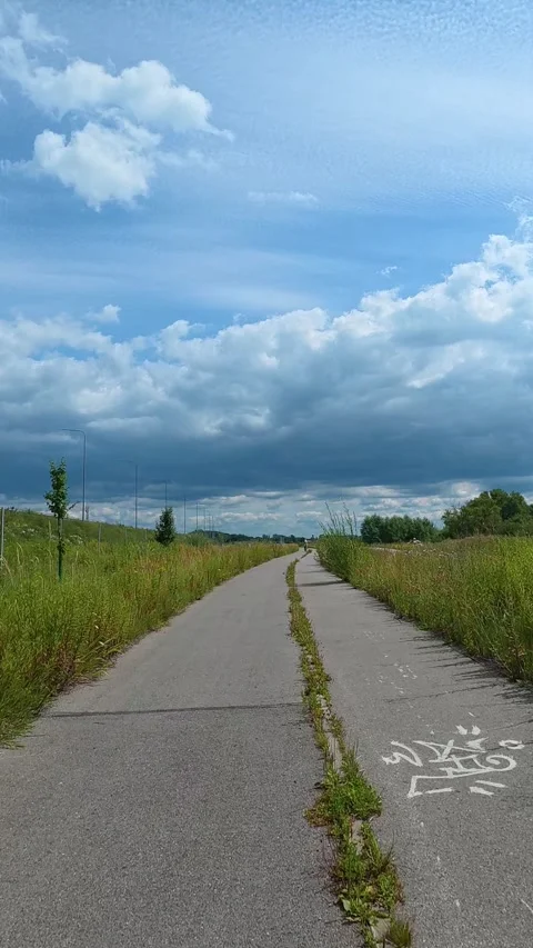 Paved path extending through overgrown grassy field under cloudy sky. Bicyc.. Stock Footage 341973485