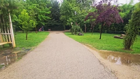 A paved path in a. Stock Footage 282632562