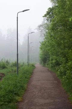 Paved path in the forest along which there are lampposts, morning fog, mornin Stock Photos