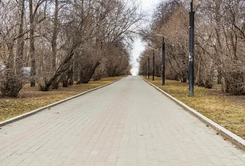 A paved path with gray and red paving slabs with yellow leaves and a group of Stock Photos