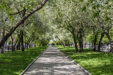 A paved path with gray and red paving slabs with a group of people among bloo 스톡 사진