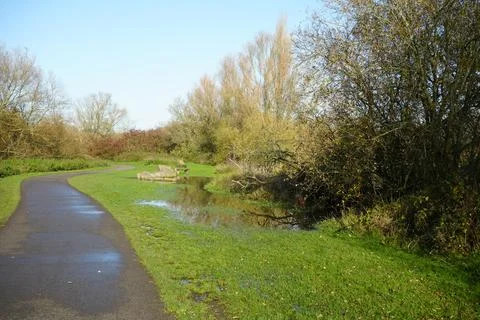 Paved Path, Green Grass, Standing Water, And Winter Trees At Watermead Country Foto stock
