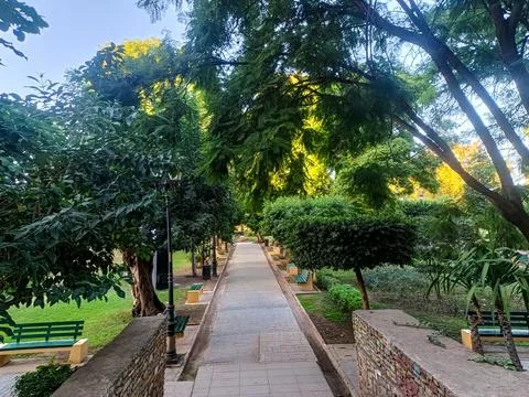 Paved path leading through lush green park with benches and lampposts Stock Photos