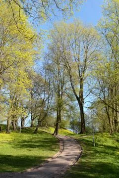 Paved path leads uphill through trees Stock Photos