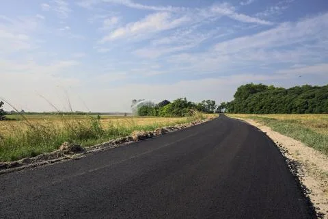 Paved path in the middle of fields next to a grove on a sunny day in the it.. Stock Photos