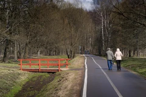 Paved path in the Park after rain Foto stock