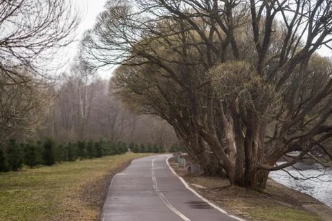 Paved path in the Park after rain Stock Photos