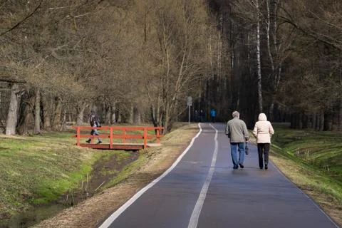 Paved path in the Park after rain Stock Photos