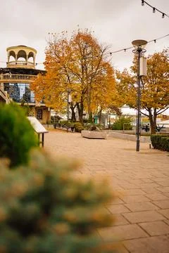 A paved path in the park with autumn trees. Stock Photos
