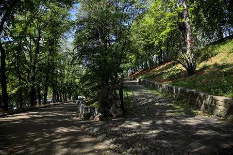 Paved path in a park forking with a stone staircase on a cloudy day Stock Photos