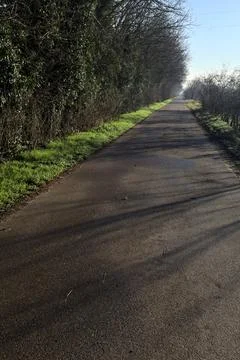 Paved path in a park Stock Photos