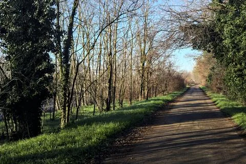 Paved path in a park Foto stock