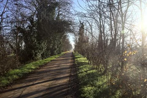 Paved path in a park Stock Photos