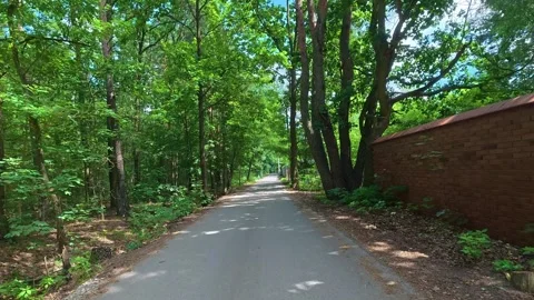 Paved path stretching through green woods beside brick wall. Bicycle POV Stock Footage 341972601