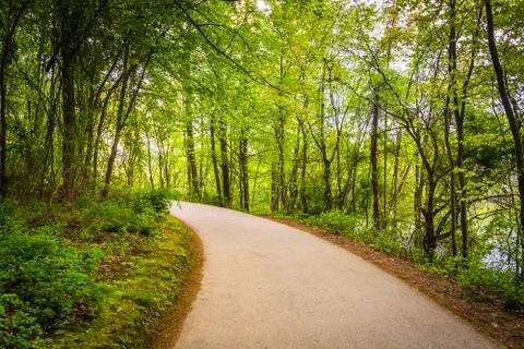 Paved path through the forest at centennial park, columbia, maryland. Foto stock