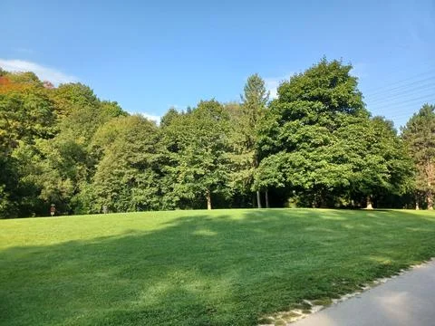 Paved Path Through Green Park Stock Photos
