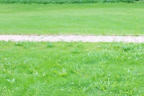 Paved path tiles in middle of green lawn in summer sunny day Stock Photos