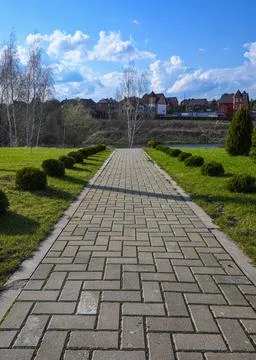 A paved path with trimmed thuja rows on its sides, leading to a pond. Stock Photos
