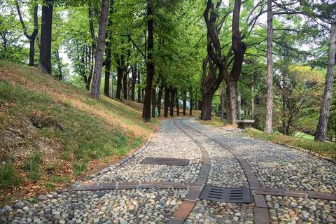Paved path under the tree canopy of a park with stone benches by its edge on  Stock Photos