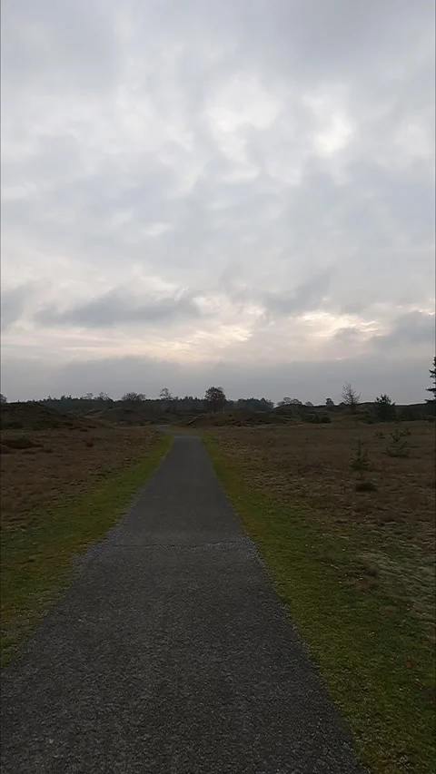 Paved path winding through a Dutch heathland under a cloudy sky. Stock-Footage 341985255