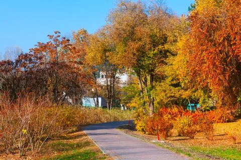 Paved path winds through vibrant autumn park Stock Photos