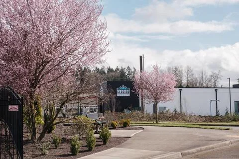 A paved pathway and bench next to pink blossom trees with a car wash buildi.. Stock-Fotos