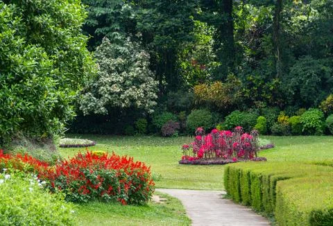 Paved Pathway Bordered by Manicured Hedges and Vibrant Red Flower Beds Stock Photos