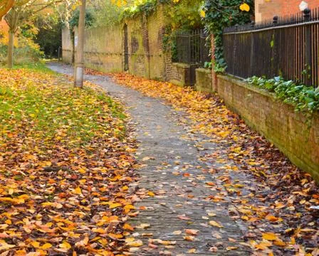 Paved pathway with a fence on one side and plantation on the other Stock Photos