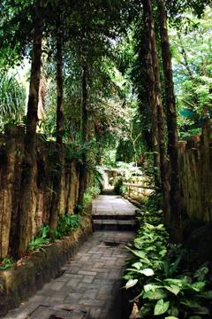 Paved Pathway Shaded by Trees Stock Photos
