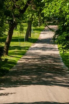 Paved Pathway Surrounded by Green Trees in a Summer Park Setting Stock Photos
