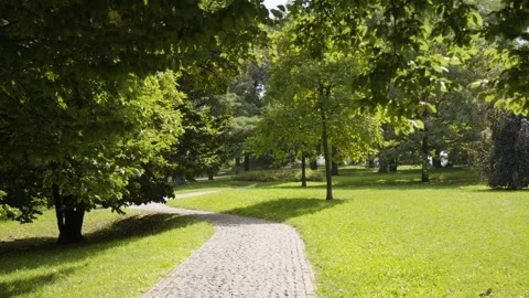 A paved pathway through a green park on ... | Stock Video | Pond5