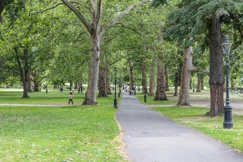 Paved pathway through a lush green city park in summer Photos