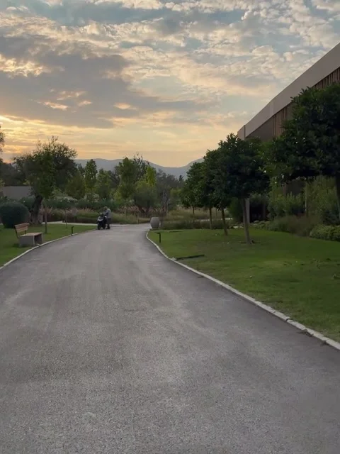 Paved Pathway Through Modern Resort Garden at Sunset 库存影片 342470034