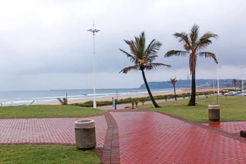 Paved pathways leading to beach past palm trees Stock Photos