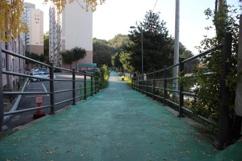 Paved pedestrian way or walk way with trees on sides for public walk Stock Photos