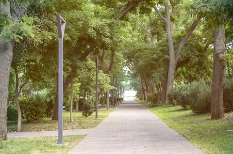 Paved recreational path through lush green parklands. Offers easy access for Stock Photos
