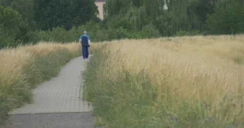 Paved Road Crosses a Field of a Wheat Stock Footage 51649761