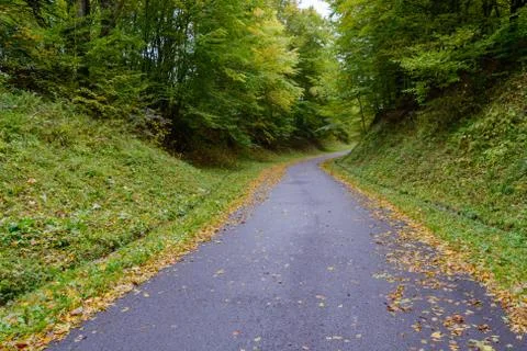 The paved road goes down to the bottom of which lies the yellow apple leaves. Stock Photos