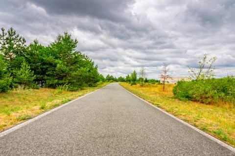 A paved road in a park Stock Photos