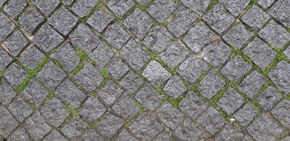 Paved road 写真素材
