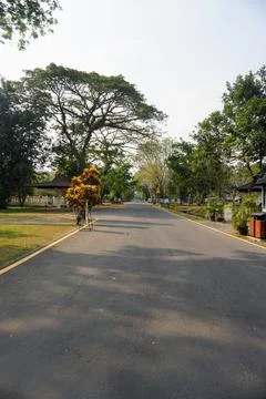 Paved road surrounded by lush trees near the exit of Prambanan Temple cultural Stock Photos