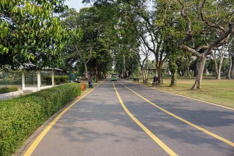 Paved road surrounded by lush trees near the exit of Prambanan Temple cultural Stock Photos