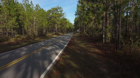 Paved road in tall pine forest at entrance sign of Blackwater River State Park Stock-Footage 325690042