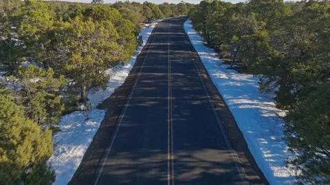 Paved Road Through Snow Forest Towards Grand Canyon Viewpoints In Arizona, Vidéo 252803359